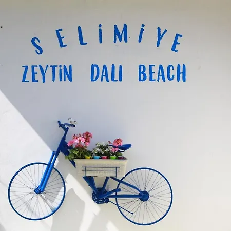 Zeytin Dali Butik Otel & Beach * Selimiye (Aegean)