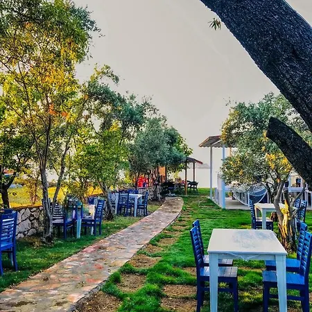 호텔 Zeytin Dali Butik Otel & Beach
