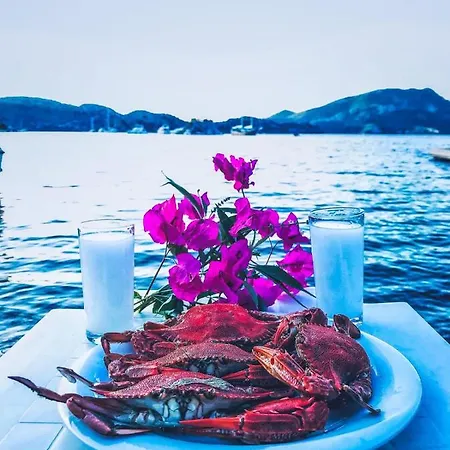 호텔 Zeytin Dali Butik Otel & Beach *