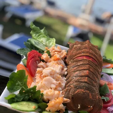 호텔 Zeytin Dali Butik Otel & Beach *